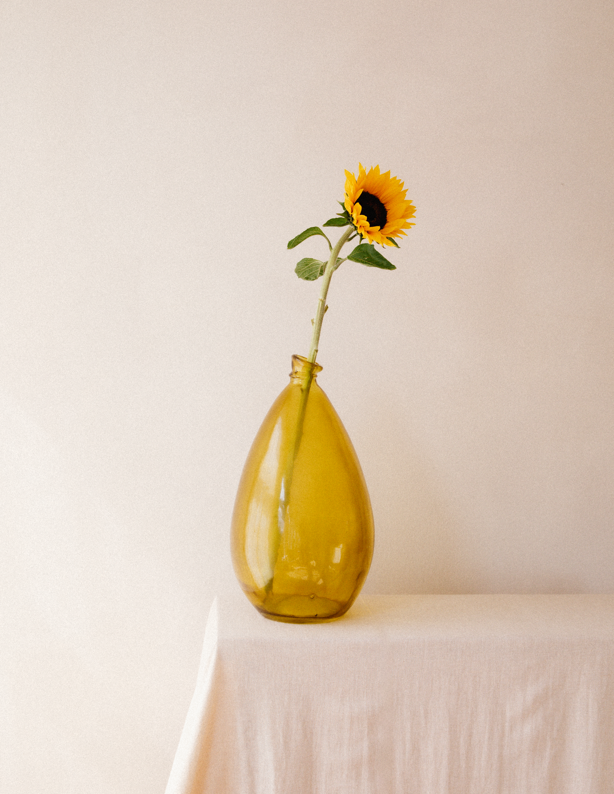 Amber Glass Demijohn image 1